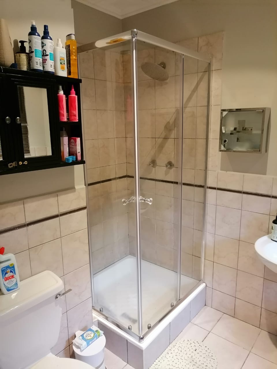 Walk-in Shower